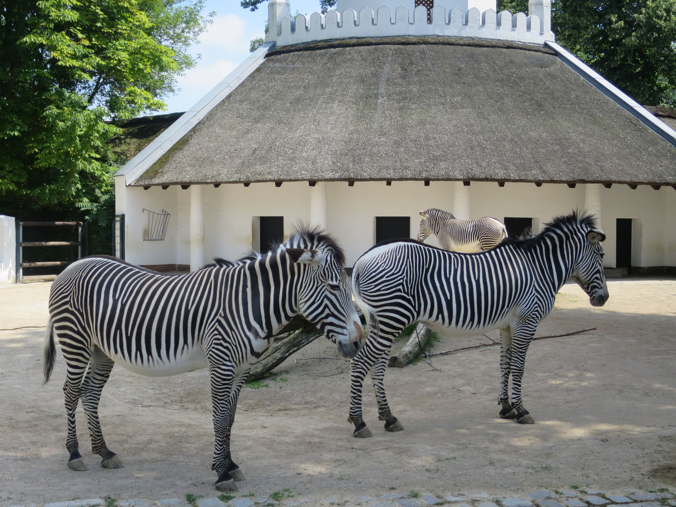 Tierpark Zoo  06